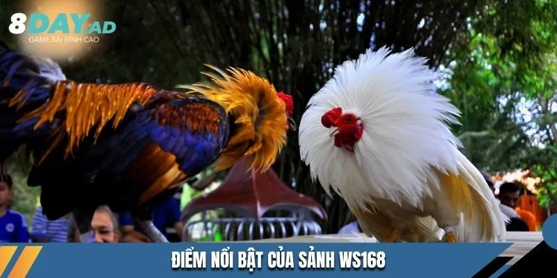 Điểm nổi bật của sảnh WS168
