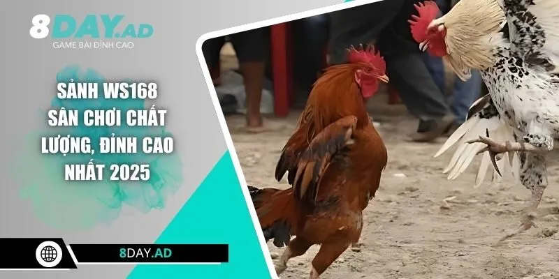 Sảnh WS168 - Sân Chơi Chất Lượng, Đỉnh Cao Nhất 2025